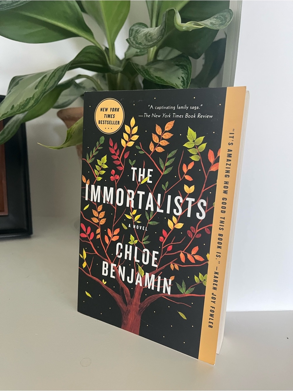 The Immortalists by Chloe Benjamin - Black Cover Paperback